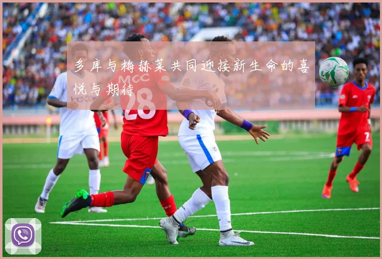 多库与梅赫莱共同迎接新生命的喜悦与期待